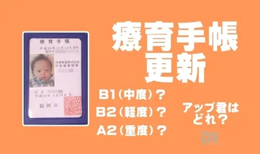 療育手帳の更新がやってきた！アップ君はA判定となるのか？結果公開 