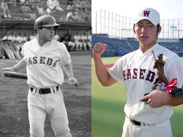 対談：岡田彰布×鳥谷敬 早大野球部とタイガース – 早稲田大学 競技スポーツセンター