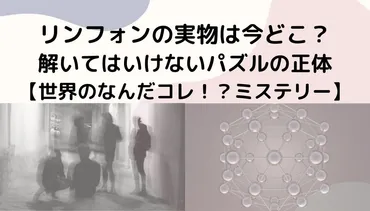 リンフォンの実物は今どこ？解いてはいけないパズルの正体【世界のなんだコレ！？ミステリー】 