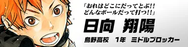 ハイキュー!!.com キャラ紹介 烏野高校バレーボール部