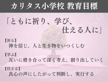 カリタス小学校はどんな学校？学校生活から入試情報まで徹底解説！ 