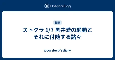 ストグラ騒動、月見結と黒井愛の関係性、警察の役割とは？月見結の黒い真実とは！？