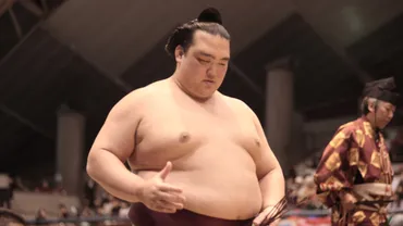 ついに和製横綱誕生 初優勝した稀勢の里ってどんな力士？