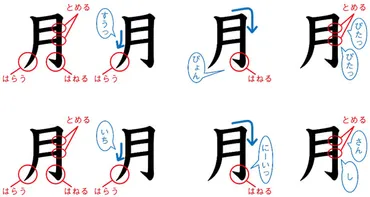 小学校低学年のうちから意識しておきたい漢字の「とめ」「はね」「はらい」