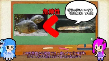 アマゾン川に生息する゛人食いナマズ゛とは⁉ ピラニアより恐れられる魚「カンディル」について解説してみた（2024年5月1日）