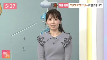 田中美都気象予報士がかわいい!彼氏結婚や高校大学身長は?(NHKゆう5時) 