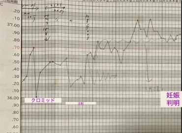 双子の妊娠初期症状！基礎体温も公開 