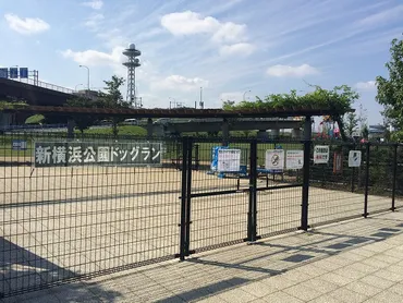 新横浜公園ドッグラン 