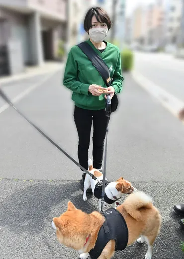 二階堂ふみは動物愛護活動家？女優業と写真家活動の多面性多才な二階堂ふみとは！？