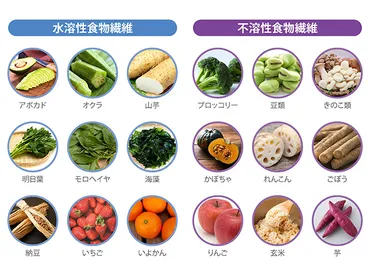 食事の質を高める食物繊維 