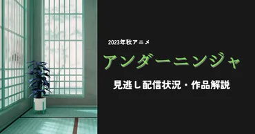 アニメ「アンダーニンジャ」の見逃し配信・見放題サブスクを紹介！ あらすじ・登場人物も解説！ 