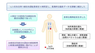 3q29 欠失患者に見られる治療抵抗性統合失調症 〜患者 4 例のケースシリーズ〜 