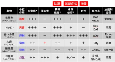 京大薬学・金子研・薬物依存