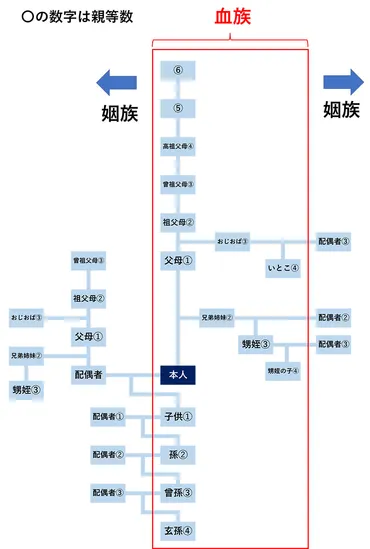 血族と姻族の違い】や【親族や親等数】について徹底解説