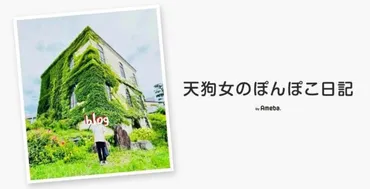 天津・木村の妻、夫の強い希望で購入した四輪駆動のマニュアル車「ブランクがあって苦手気味」 