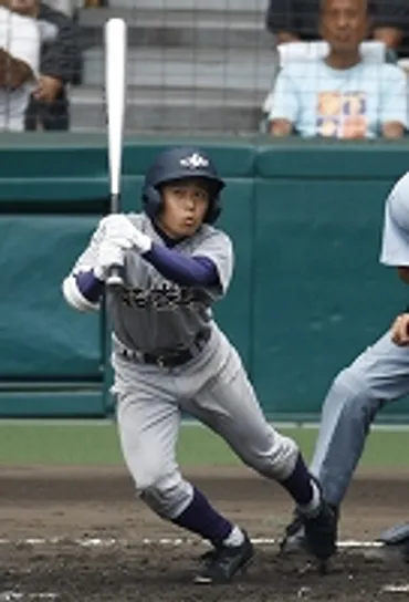 甲子園を沸かしたあの花巻東の選手が自殺…将来を悲観か/スポーツ/デイリースポーツ online